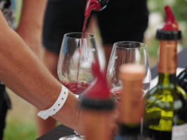 Award-winning Wines, Diverse Foods, Live Music: Temecula's Great Taste of Europa Wine & Food Festival Sept 15